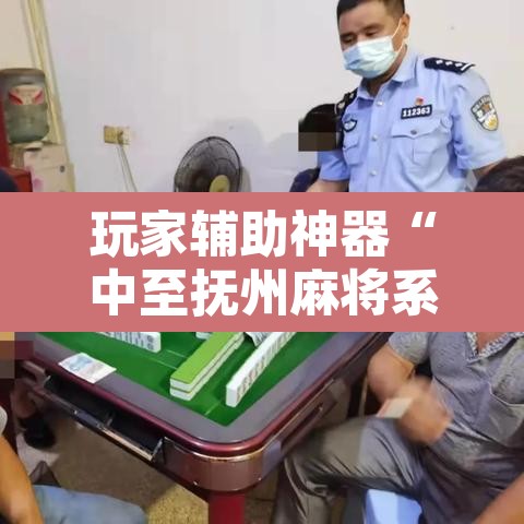 玩家辅助神器“中至抚州麻将系统作弊辅助工具”其实确实有挂