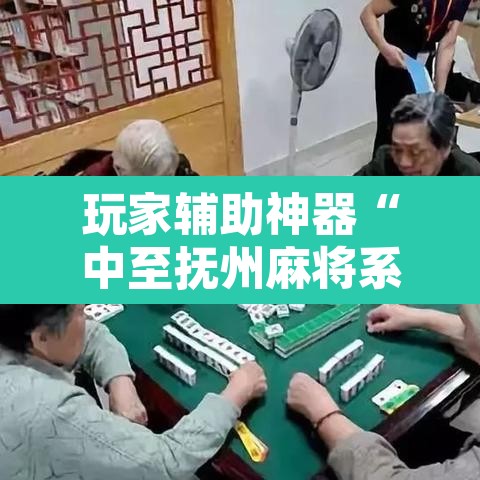 玩家辅助神器“中至抚州麻将系统作弊辅助工具”其实确实有挂