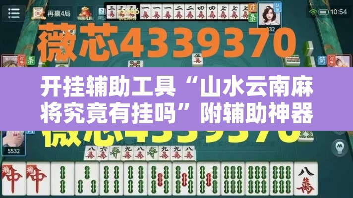 开挂辅助工具“山水云南麻将究竟有挂吗”附辅助神器开挂脚本详细步骤