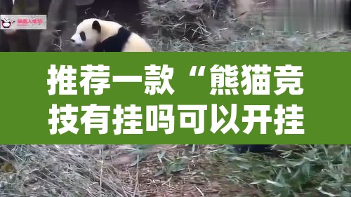 推荐一款“熊猫竞技有挂吗可以开挂吗	”(透视)其实确实有挂