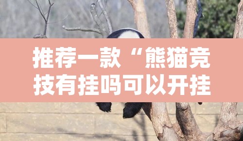 推荐一款“熊猫竞技有挂吗可以开挂吗”(透视)其实确实有挂