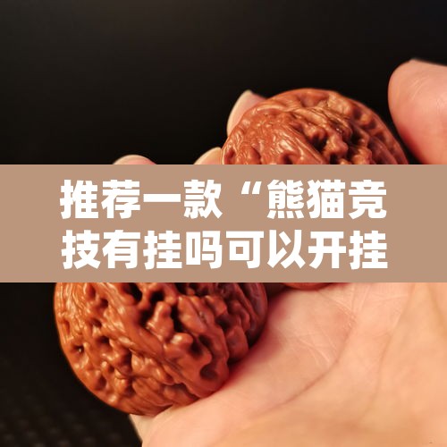 推荐一款“熊猫竞技有挂吗可以开挂吗”(透视)其实确实有挂