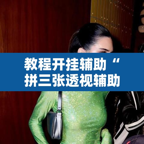 教程开挂辅助“拼三张透视辅助软件”开挂辅助脚本+详细开挂安装教程