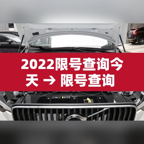 2022限号查询今天 → 限号查询 今天几点