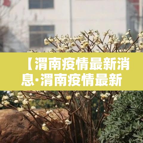 【渭南疫情最新消息·渭南疫情最新消息实时更新】