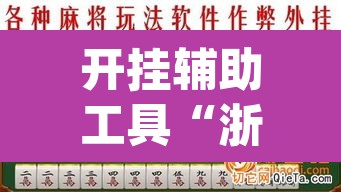 开挂辅助工具“浙衢麻将开挂器”(透视挂)辅助透视教程