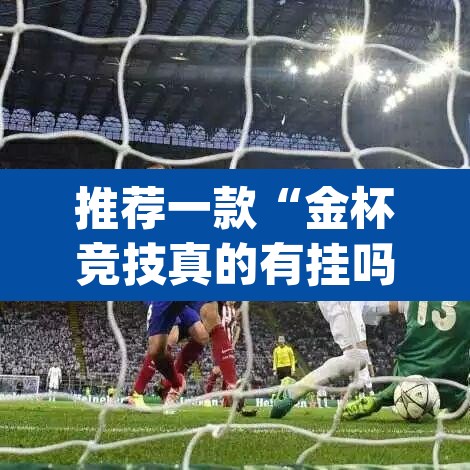 推荐一款“金杯竞技真的有挂吗”(透视挂)辅助透视教程