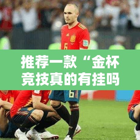 推荐一款“金杯竞技真的有挂吗	”(透视挂)辅助透视教程