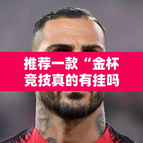 推荐一款“金杯竞技真的有挂吗”(透视挂)辅助透视教程