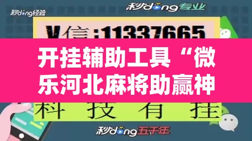 开挂辅助工具“微乐河北麻将助赢神器购买	”(透视挂)辅助透视教程