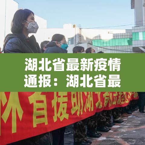 湖北省最新疫情通报：湖北省最新疫情通报新增