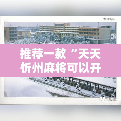 推荐一款“天天忻州麻将可以开挂吗	”(透视挂)辅助透视教程