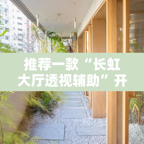 推荐一款“长虹大厅透视辅助”开挂辅助脚本+详细开挂安装教程