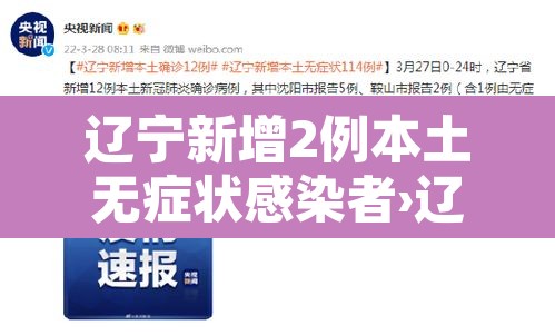 辽宁新增2例本土无症状感染者›辽宁新增确诊2例 无症状感染者3例