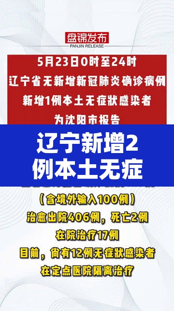 辽宁新增2例本土无症状感染者›辽宁新增确诊2例 无症状感染者3例