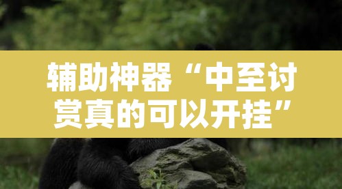 辅助神器“中至讨赏真的可以开挂”附辅助神器开挂脚本详细步骤
