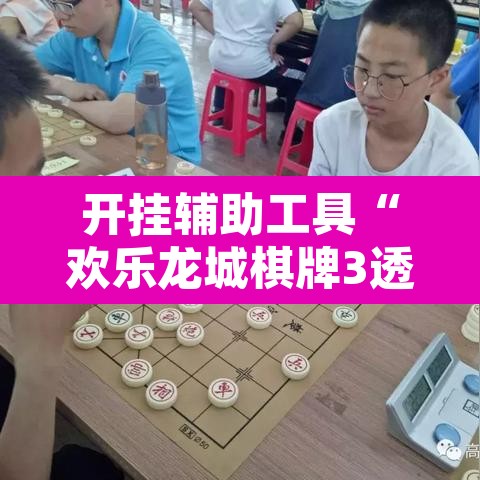 开挂辅助工具“欢乐龙城棋牌3透视挂”其实确实有挂