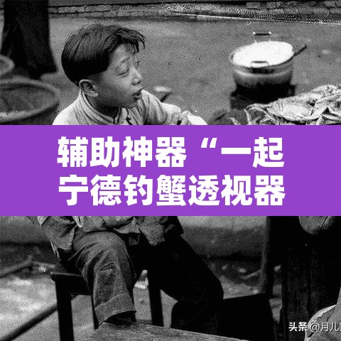 辅助神器“一起宁德钓蟹透视器”其实确实有挂