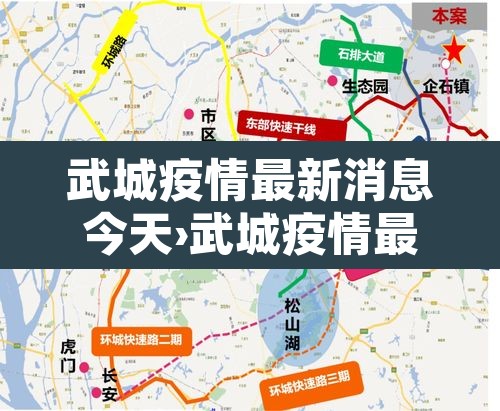 武城疫情最新消息今天›武城疫情最新消息今天封城了