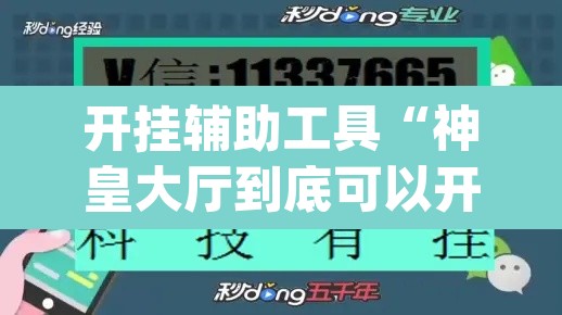 开挂辅助工具“神皇大厅到底可以开挂吗”(透视挂)辅助透视教程