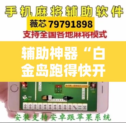 辅助神器“白金岛跑得快开挂神器”(透视挂)辅助透视教程