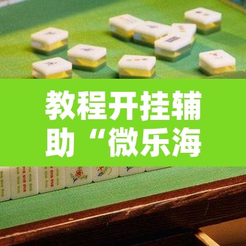 教程开挂辅助“微乐海南麻将开挂神器”其实确实有挂