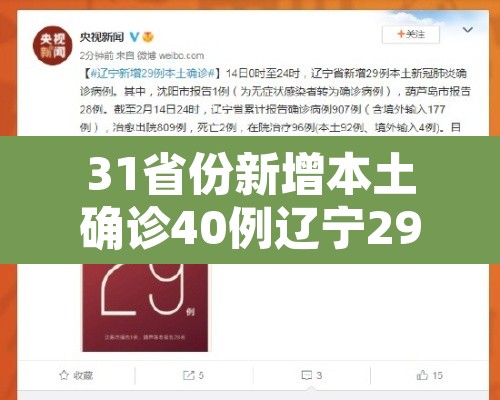 31省份新增本土确诊40例辽宁29例：辽宁新增本土确诊病例行动轨迹