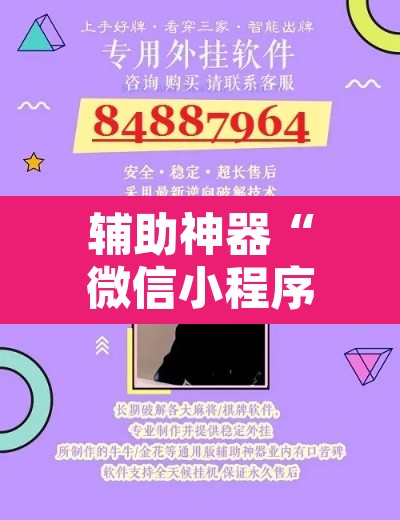 辅助神器“微信小程序家乡大贰开挂器”其实确实有挂