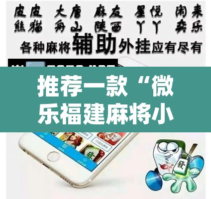 推荐一款“微乐福建麻将小程序挂”(透视挂)辅助透视教程