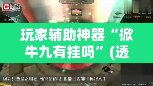 玩家辅助神器“掀牛九有挂吗”(透视)其实确实有挂