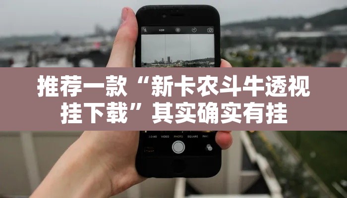 推荐一款“新卡农斗牛透视挂下载”其实确实有挂