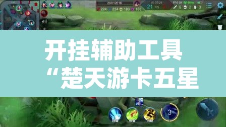 开挂辅助工具“楚天游卡五星辅助器”(透视)其实确实有挂