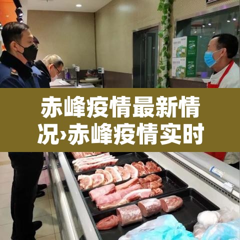 赤峰疫情最新情况›赤峰疫情实时动态