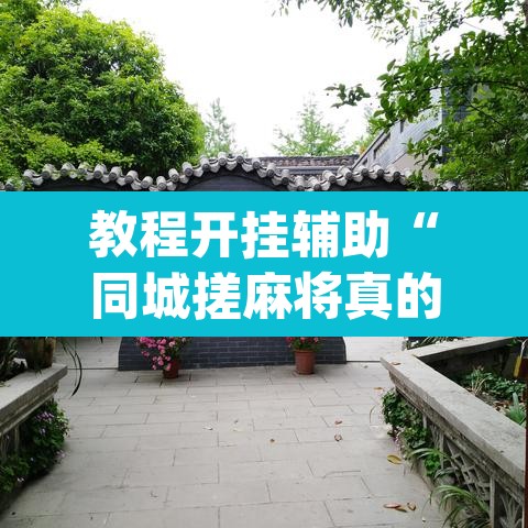 教程开挂辅助“同城搓麻将真的有挂”(透视)其实确实有挂