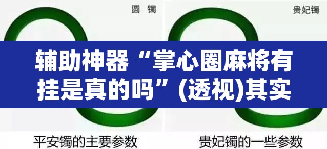辅助神器“掌心圈麻将有挂是真的吗”(透视)其实确实有挂