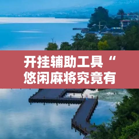 开挂辅助工具“悠闲麻将究竟有没有挂	”(透视)其实确实有挂