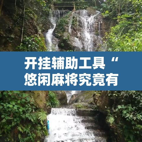 开挂辅助工具“悠闲麻将究竟有没有挂”(透视)其实确实有挂
