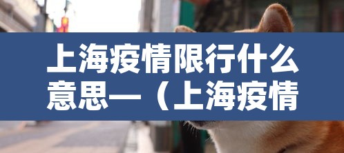 上海疫情限行什么意思—（上海疫情限行最新通知）