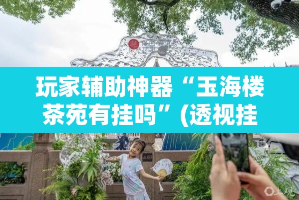 玩家辅助神器“玉海楼茶苑有挂吗”(透视挂)辅助透视教程