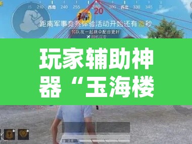 玩家辅助神器“玉海楼茶苑有挂吗”(透视挂)辅助透视教程