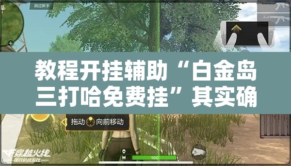 教程开挂辅助“白金岛三打哈免费挂”其实确实有挂