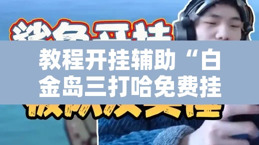 教程开挂辅助“白金岛三打哈免费挂”其实确实有挂