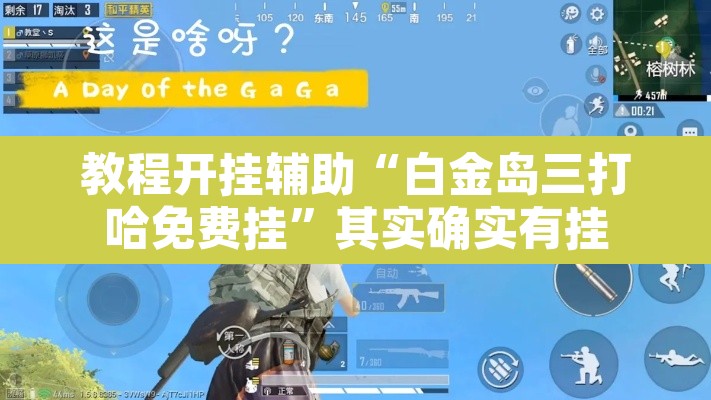教程开挂辅助“白金岛三打哈免费挂”其实确实有挂