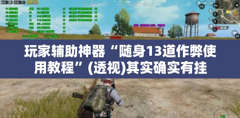 玩家辅助神器“随身13道作弊使用教程”(透视)其实确实有挂