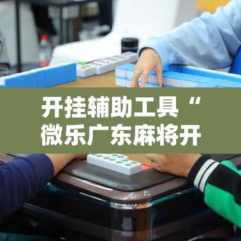 开挂辅助工具“微乐广东麻将开挂免费软件”(透视挂)辅助透视教程