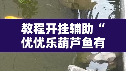 教程开挂辅助“优优乐葫芦鱼有挂吗”其实确实有挂