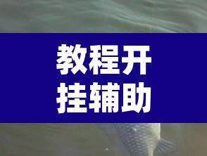 教程开挂辅助“优优乐葫芦鱼有挂吗”其实确实有挂