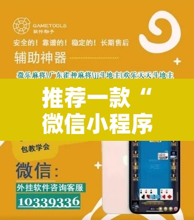 推荐一款“微信小程序家乡大贰辅助器”其实确实有挂