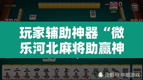 玩家辅助神器“微乐河北麻将助赢神器购买”附辅助神器开挂脚本详细步骤