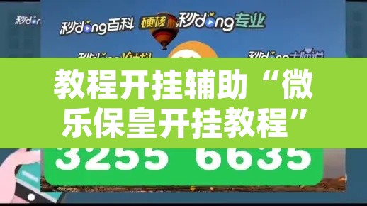 教程开挂辅助“微乐保皇开挂教程”其实确实有挂